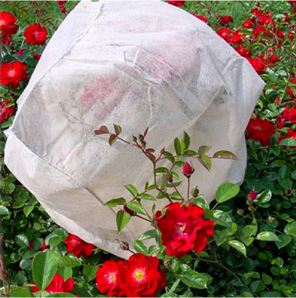 2 M x 5 M Plant Protect Net Fleece Fabric - Image 10