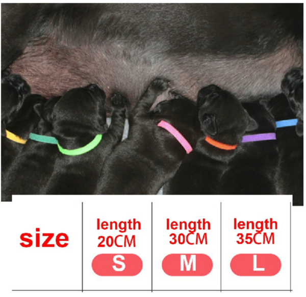 Set of 12 Puppy Adjustable Collars Welping ID Bands Newborn Dog - Image 3