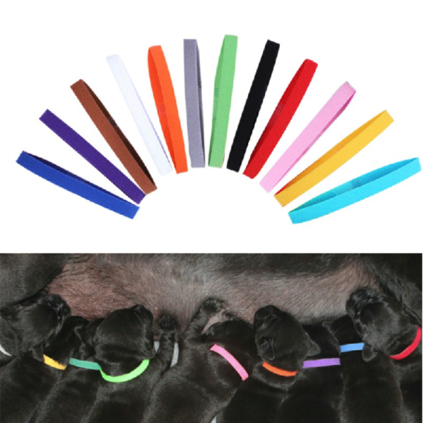 Set of 12 Puppy Adjustable Collars Welping ID Bands Newborn Dog - Image 4