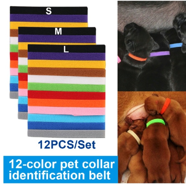 Set of 12 Puppy Adjustable Collars Welping ID Bands Newborn Dog - Image 5