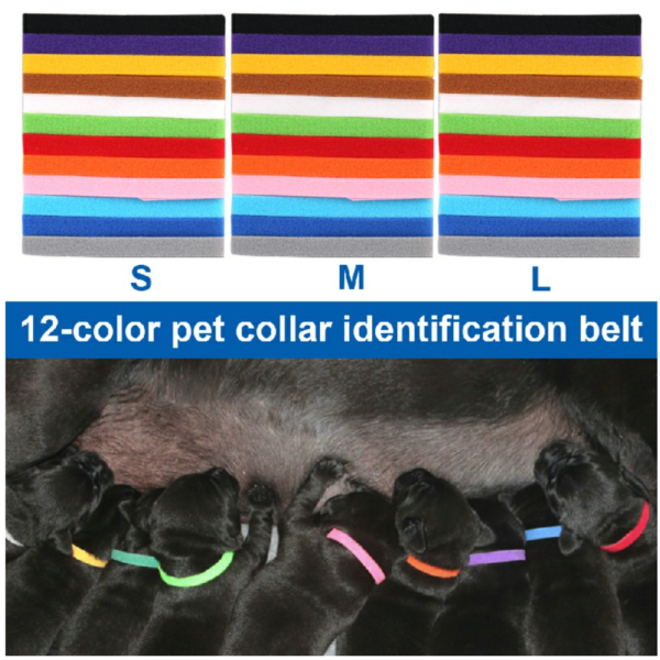 Set of 12 Puppy Adjustable Collars Welping ID Bands Newborn Dog - Image 6