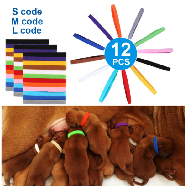 Set of 12 Puppy Adjustable Collars Welping ID Bands Newborn Dog - Image 7